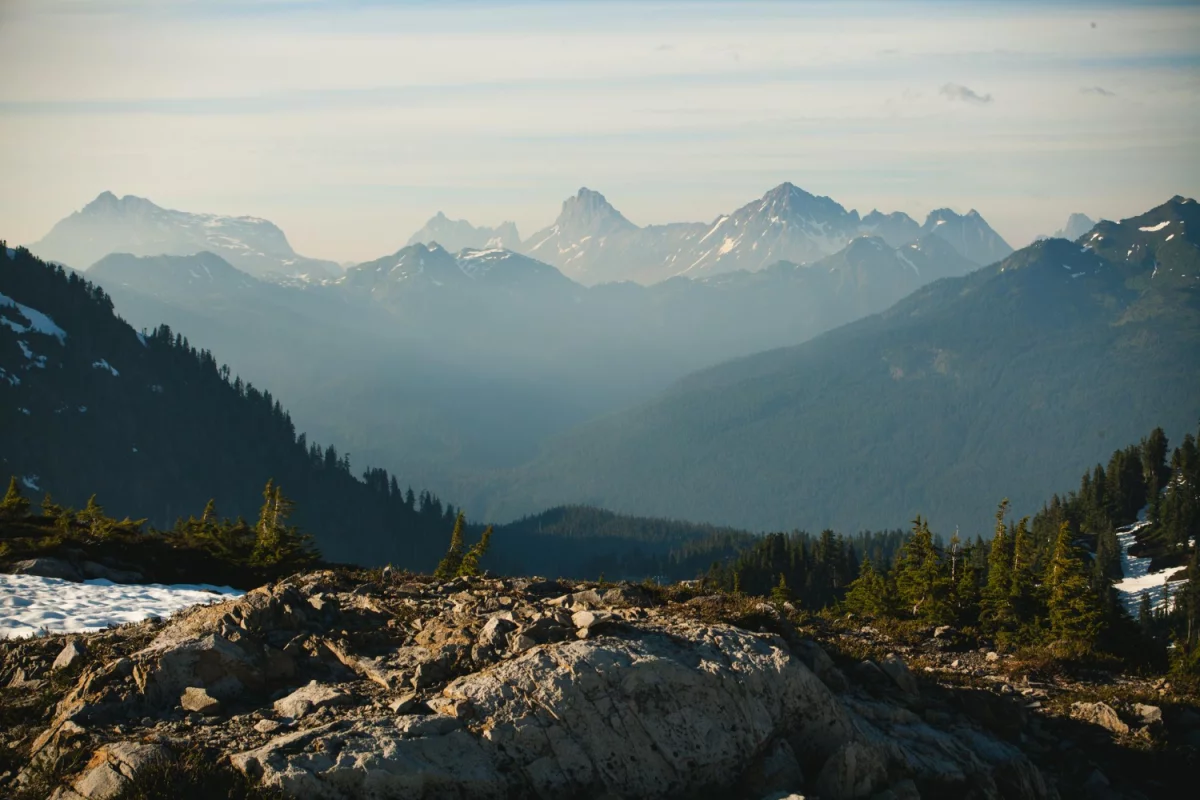 Czy w 2023 można  kupić paracord 5mm?