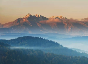 Czy żeby zrozumieć prawo potrzebne są studia?