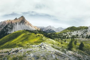 Czy można zrobić licówki w Ustroniu po godzinach?