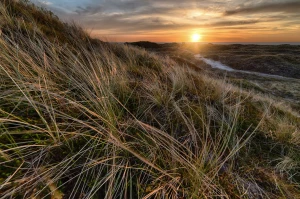 Metody jak dobrze robić tanie pozycjonowanie