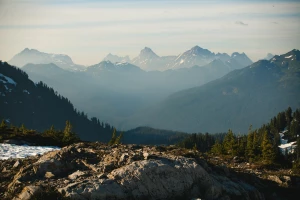 Cała Prawda O Tym Jak wyzdrowieć (a Której Sprzedawcy Ci Nie Powiedzą)